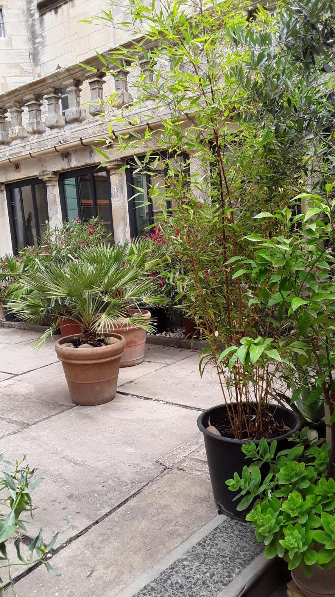 Le Clos Du Rouet Tarascon Exterior foto